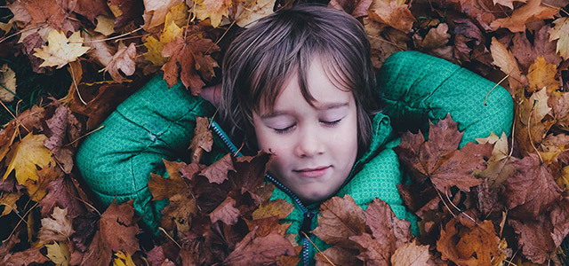 Barn som leker bland löv på höstlovet. 