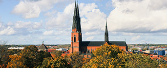 Barnpassning i Uppsala